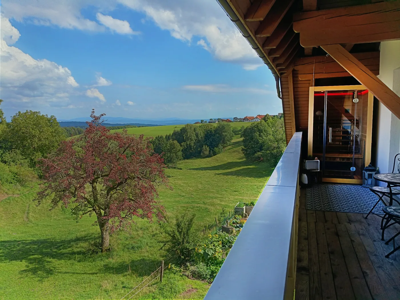 Blick vom Balkon über die Weidewiese ins Land