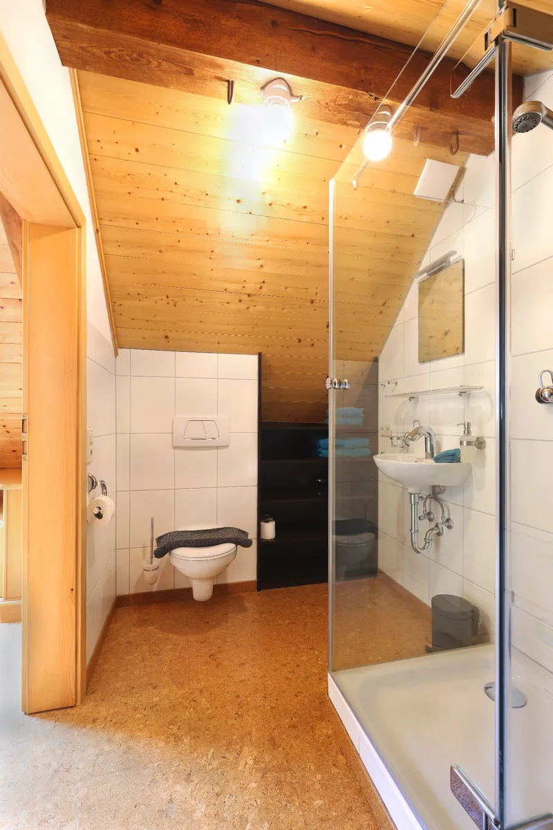 Badezimmer mit Dusche und Holzdecke