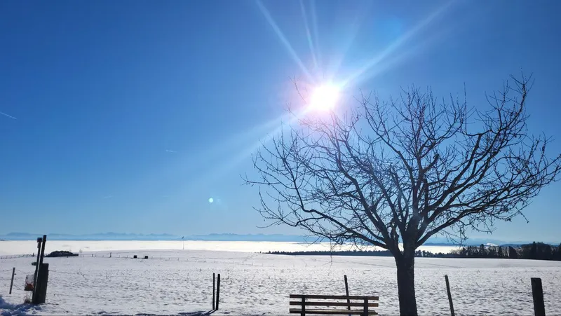 Winterlandschaft mit Baum und Bank